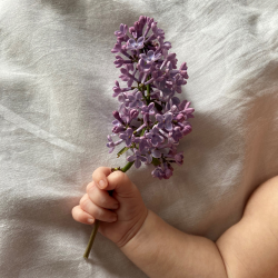 The Naked And Famous - Young Blood - 120BPM - C Minor (Dry & Wet Stems)