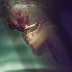 I Don't Need To Know - Full Stack (Dry)