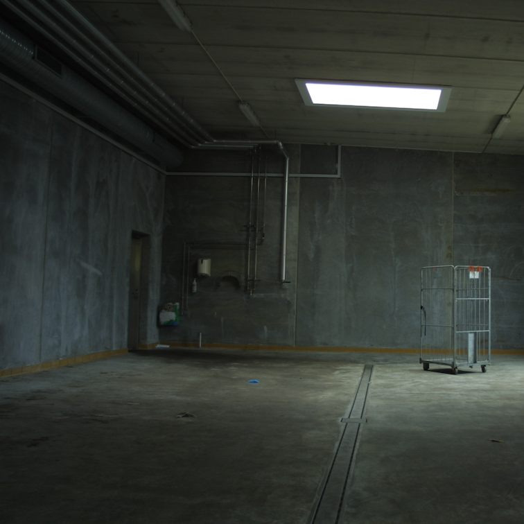 Do Or Die - 128BPM - G# Minor (Dry Stems)