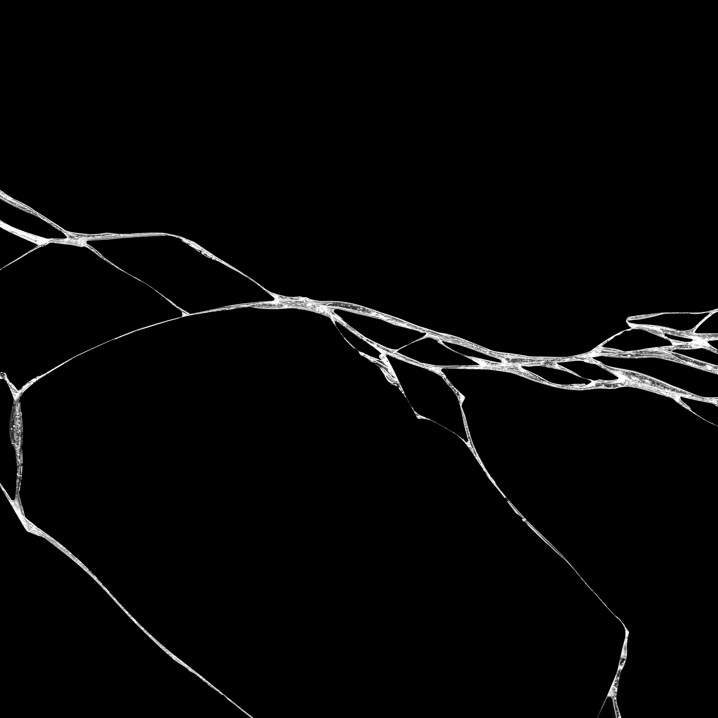 War Drum - Full Stack (Dry)