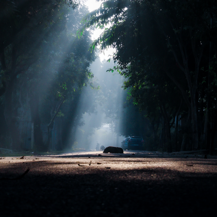 Do You Feel it Too - 126BPM - G Minor (Dry & Wet Stems)