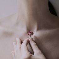 Body Talks - Full Stack (Dry)