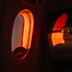 Don't Let Me Fall - Full Stack (Dry Vocoder, Raw Vocal + MIDI)