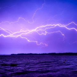 Electric Love - Full Stack (Dry & Wet Vocoder, Raw Vocal + MIDI)