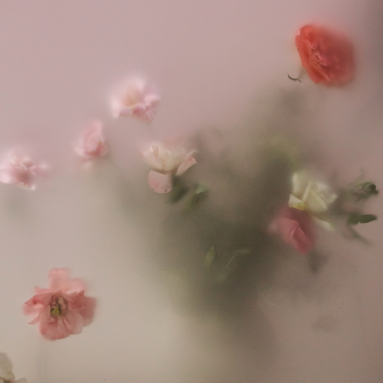 Call Home - 128BPM - C Minor (Dry Stems)