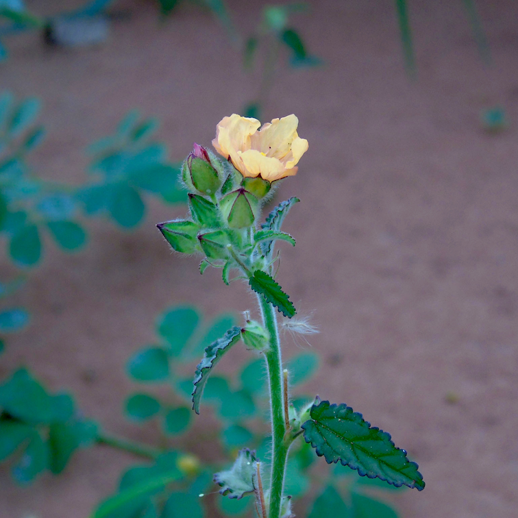 Done - 134BPM - A#m (Dry & Wet Stems)