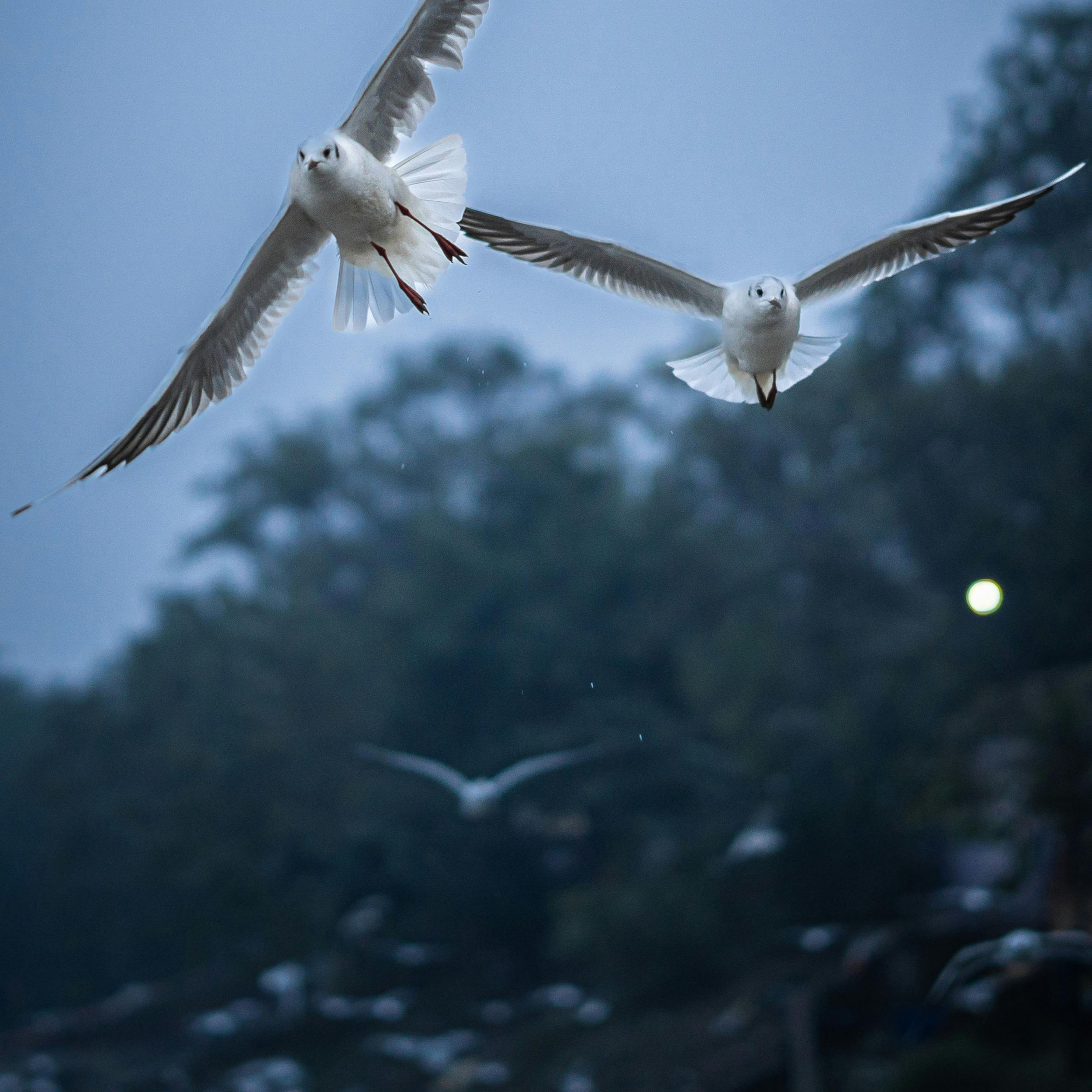 Made For This - Full Stack (Dry)