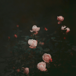 Find You in the Dark - 126BPM - D# Minor (Dry & Wet Stems)