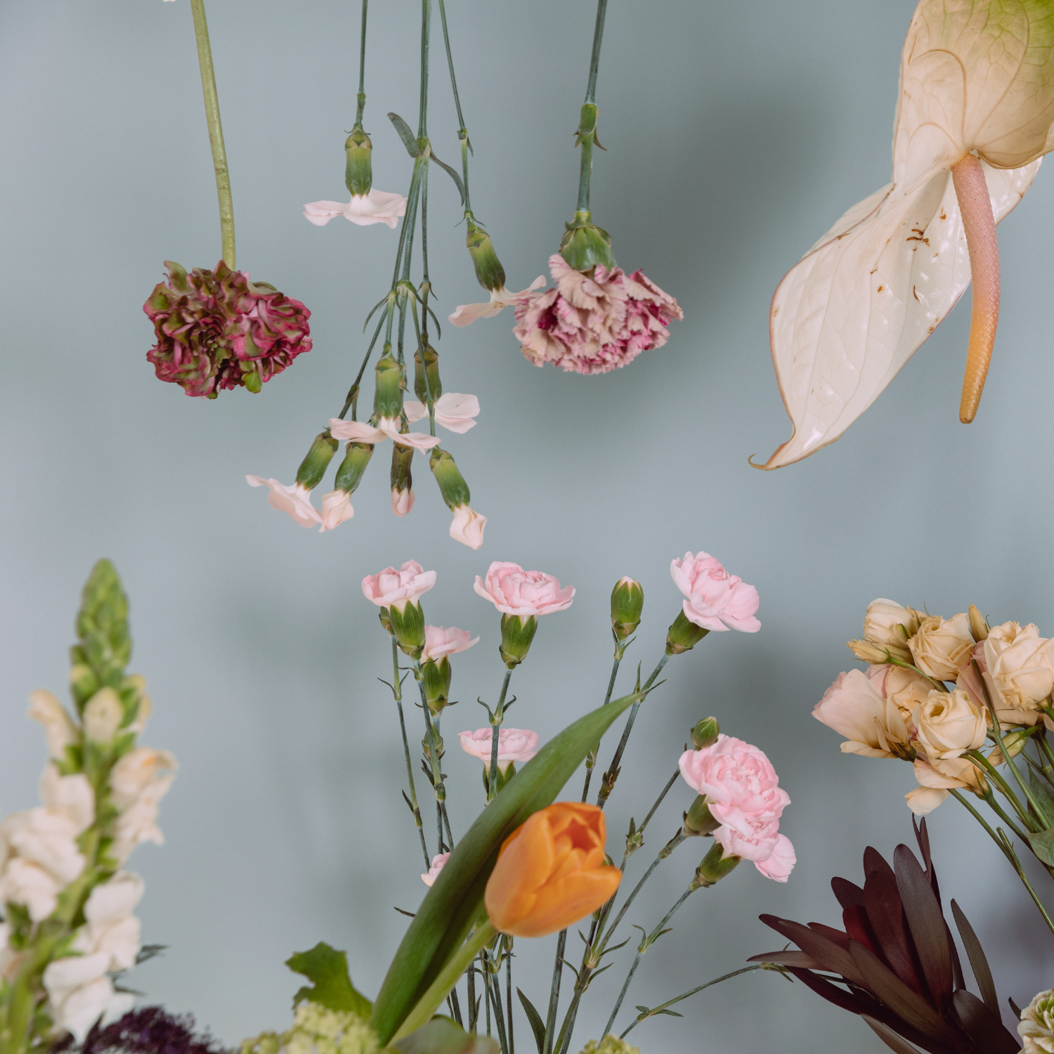 I Wanna Know - Full Stack (Dry)