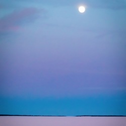 Every Horizon - 122BPM - G Minor (Dry Stems)