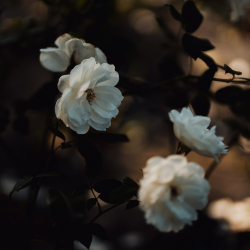 I Push, You Pull - 140BPM - C# Minor (Dry & Wet Stems)