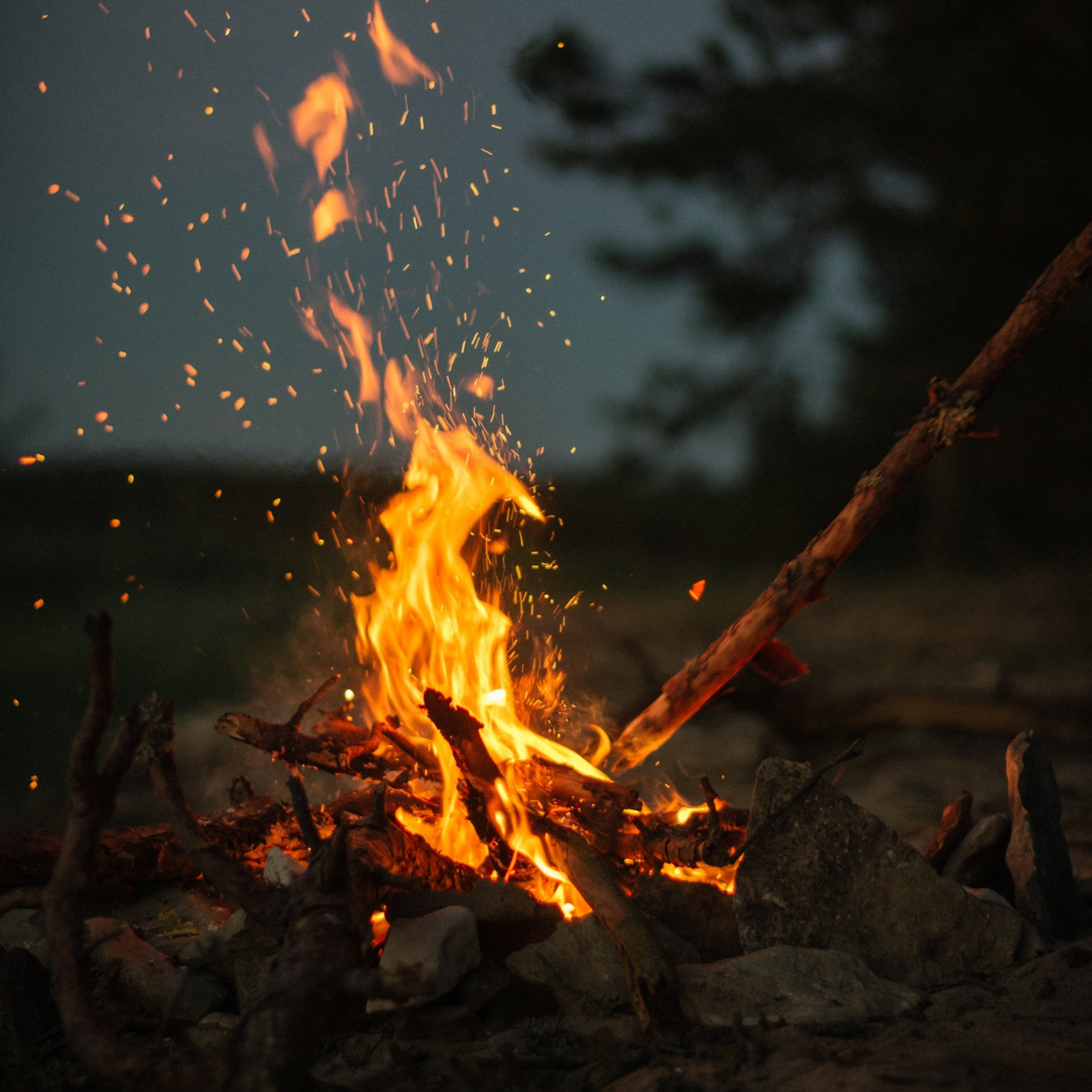 Into Nothing, Into Flame - Full Stack (Dry)