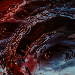 Bloodsport - 130BPM - B Minor (Dry & Wet Stems)