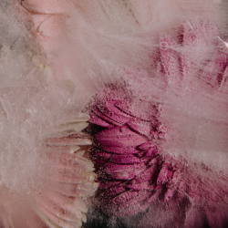 My Body Knows - Lead (Dry & Wet)