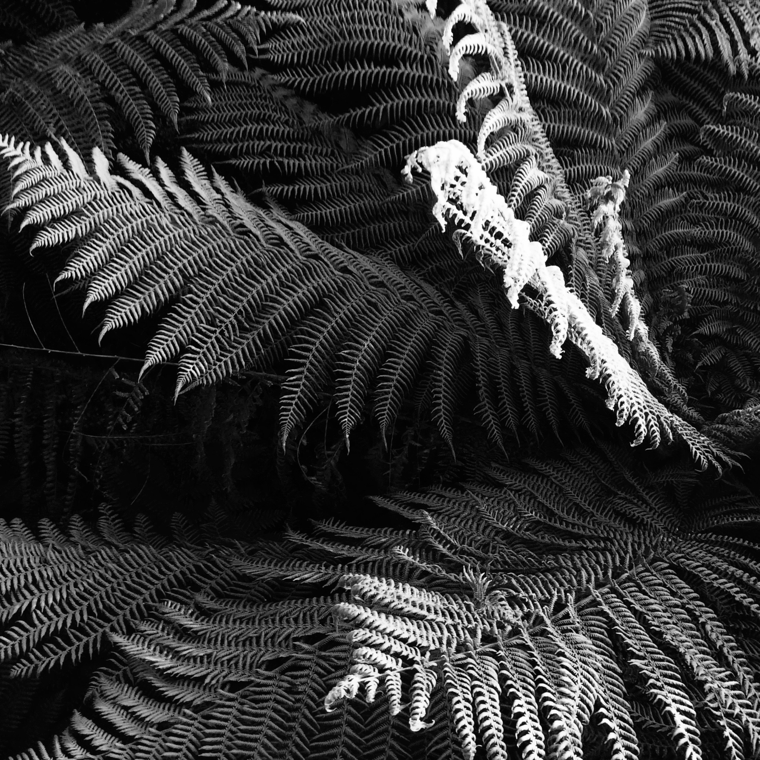 I'll Be Silver - Full Stack (Dry)