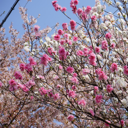 February Sun - 134BPM - E Major (Dry Stems)