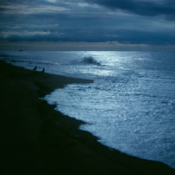 Harder At Night - Full Stack (Dry & Wet)