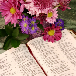 Fatboy Slim - Praise You - 120BPM - C Major (Dry & Wet Stems)