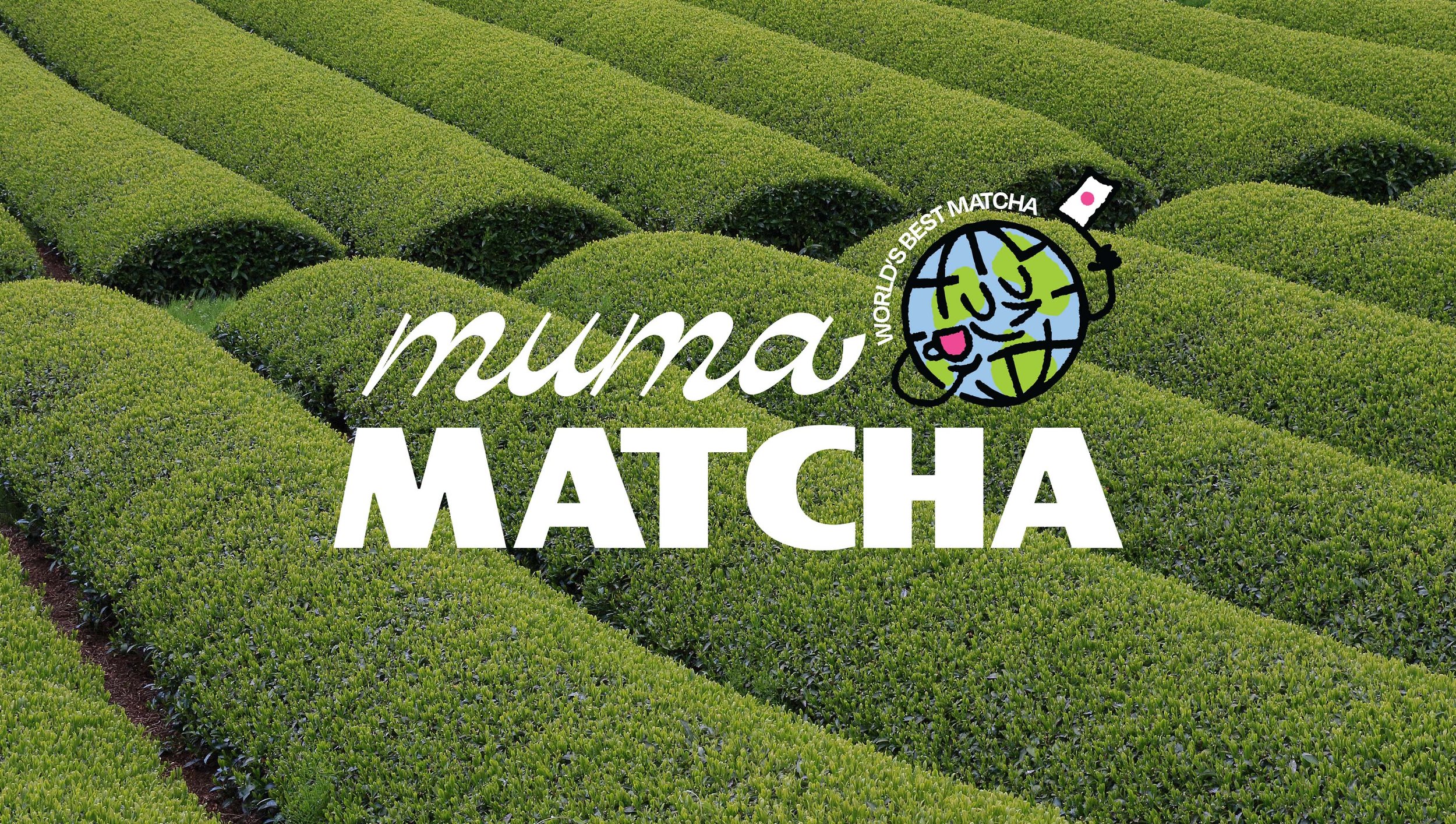 Muma Matcha_1.14.jpg