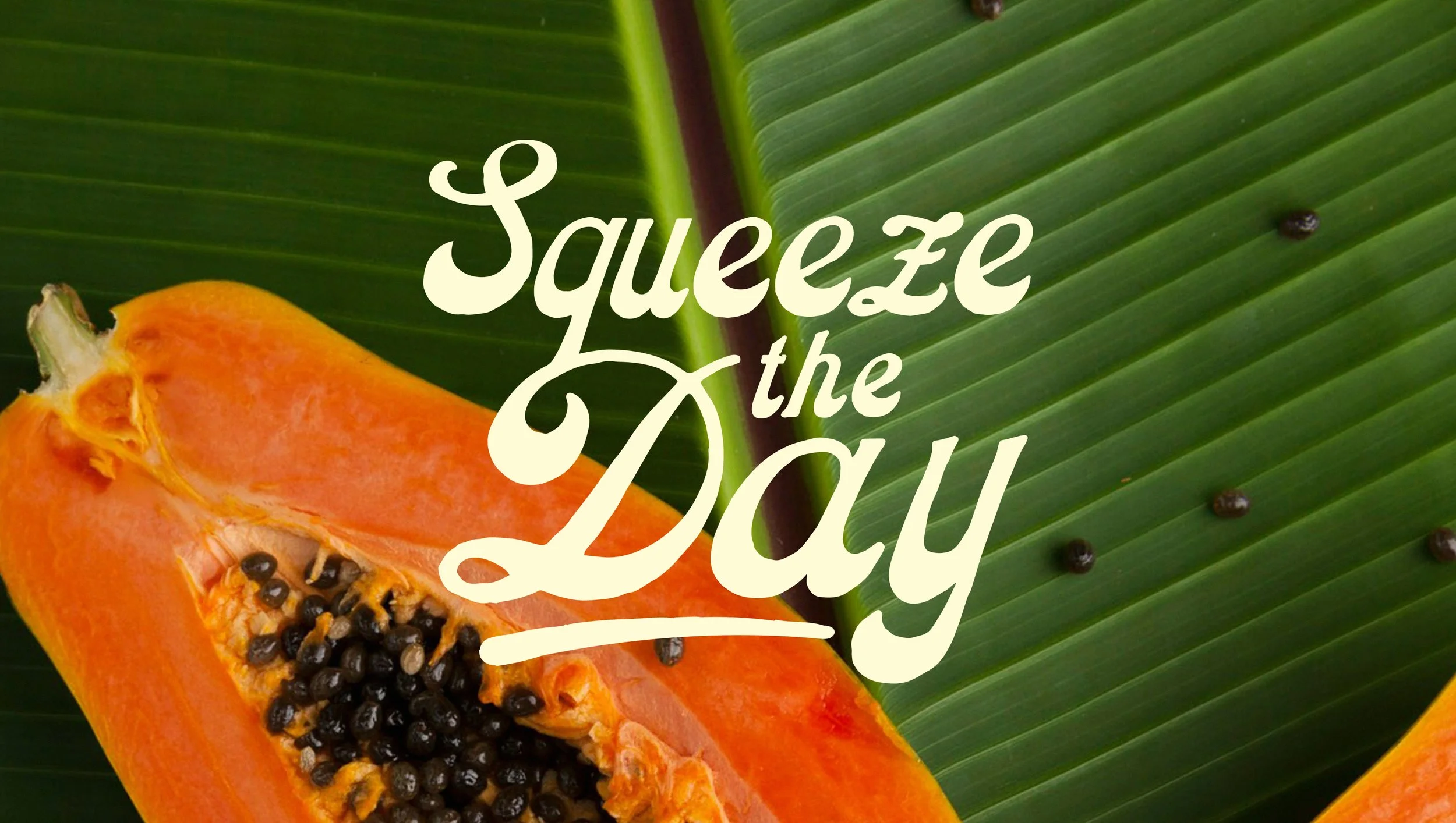 The Juice Box_1.11.jpg