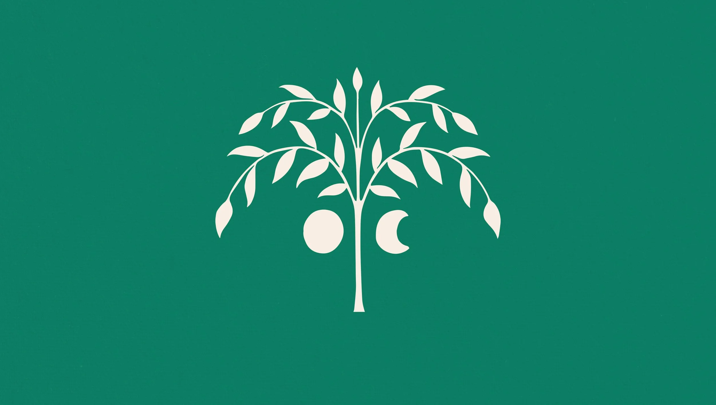 Mason & Fifth_1.2.jpg