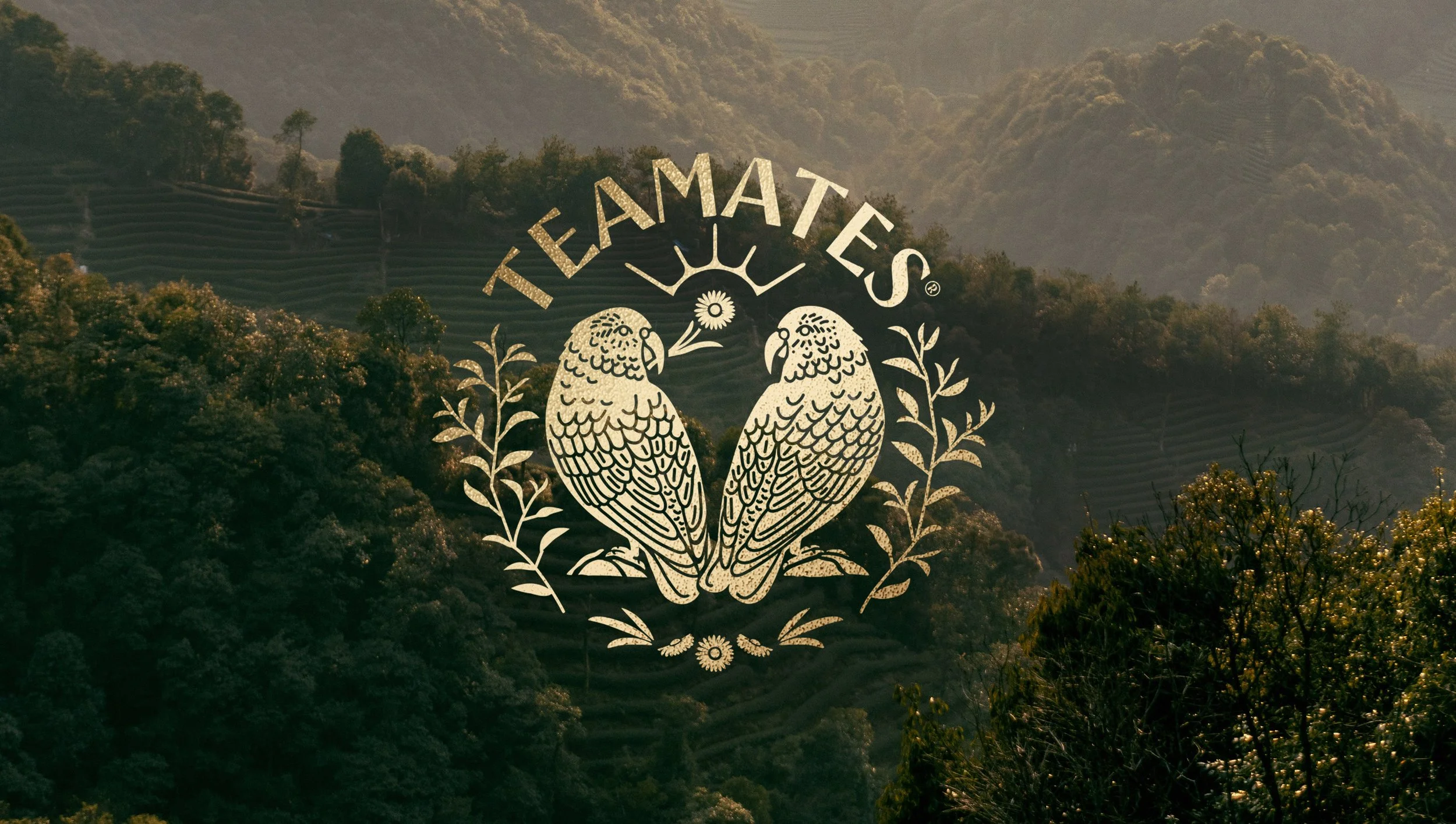 TeaMates_1.0.jpg