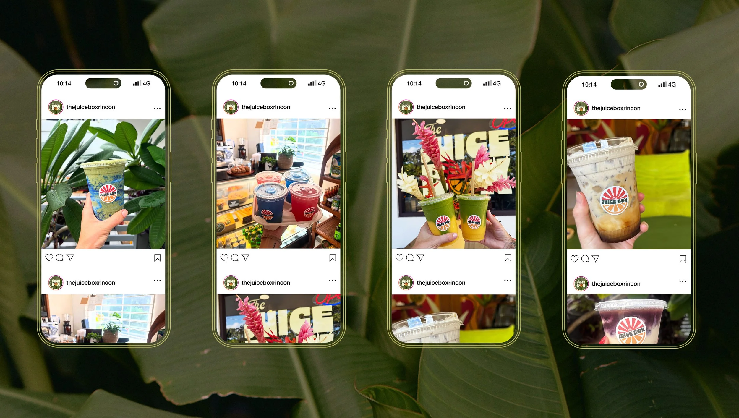 The Juice Box_1.13.jpg