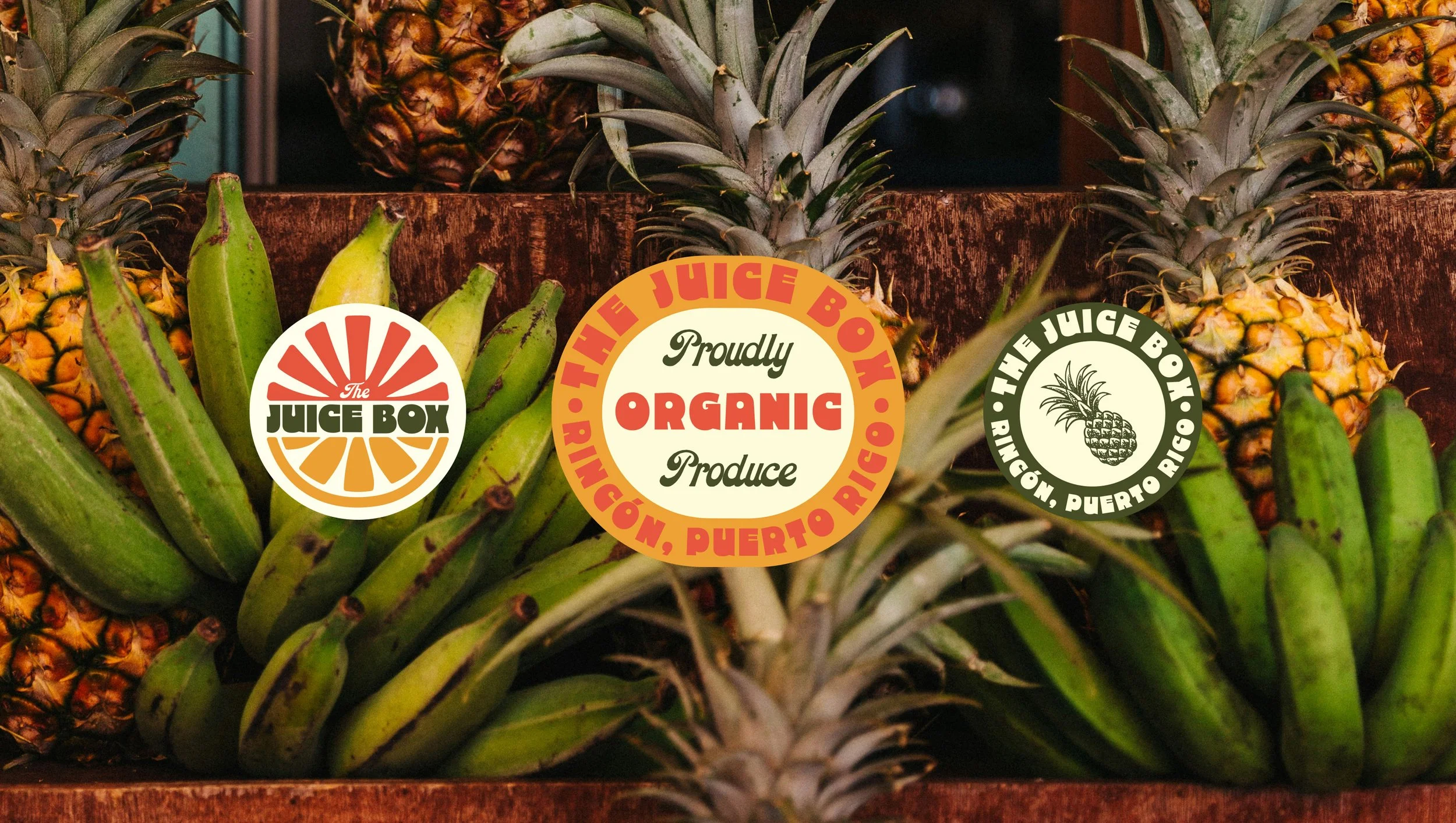 The Juice Box_1.23.jpg