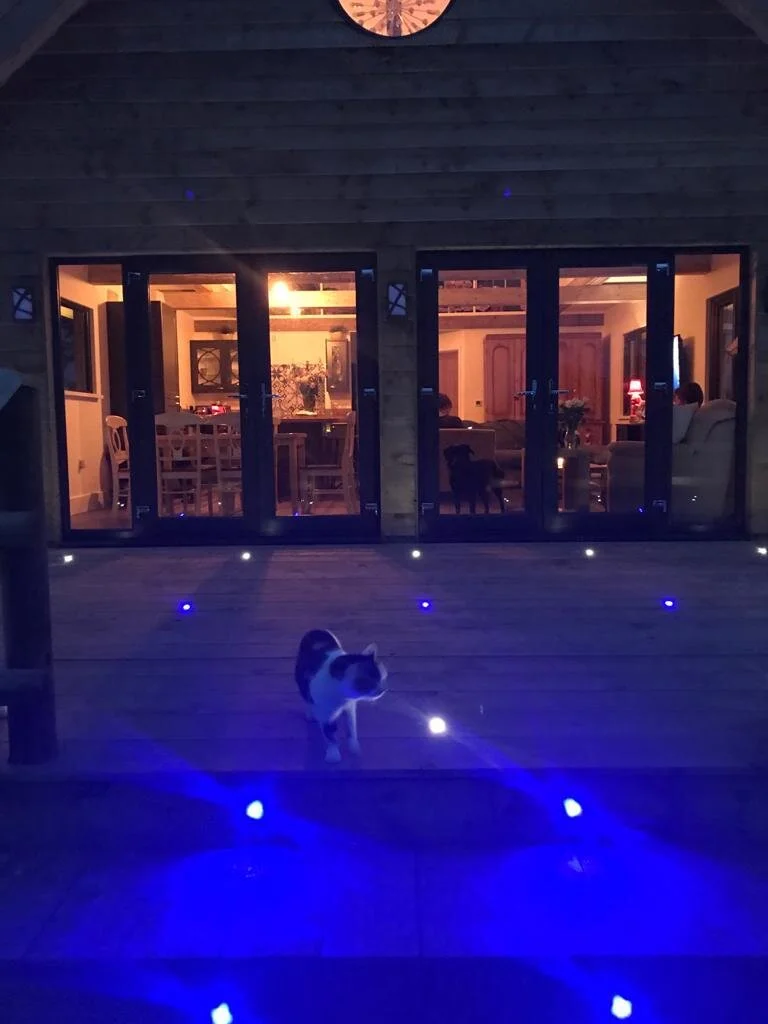 PHOTO-2021-03-20-16-18-24 4.jpg