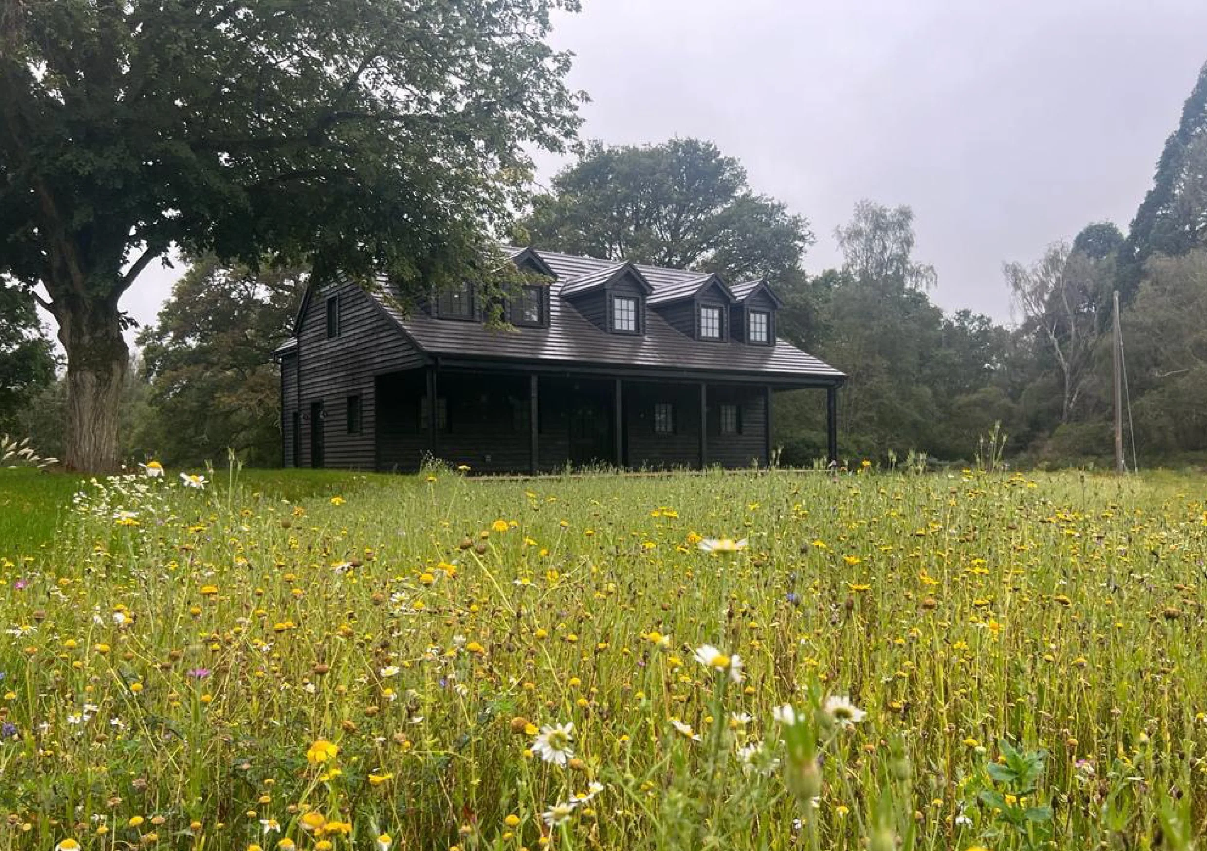 Luckhurst project - FILES.jpg