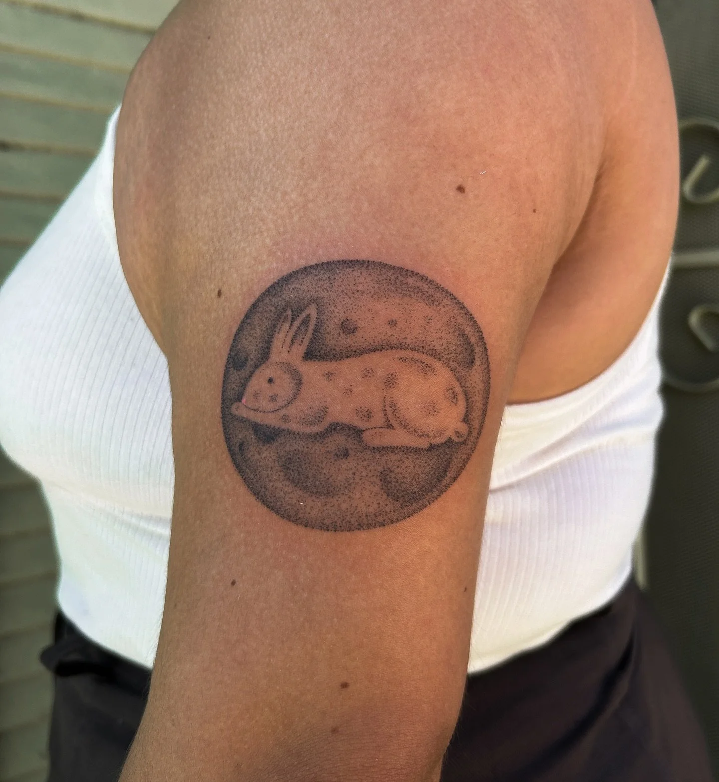 You may be just a rabbit, but everyone will remember you 🌙
