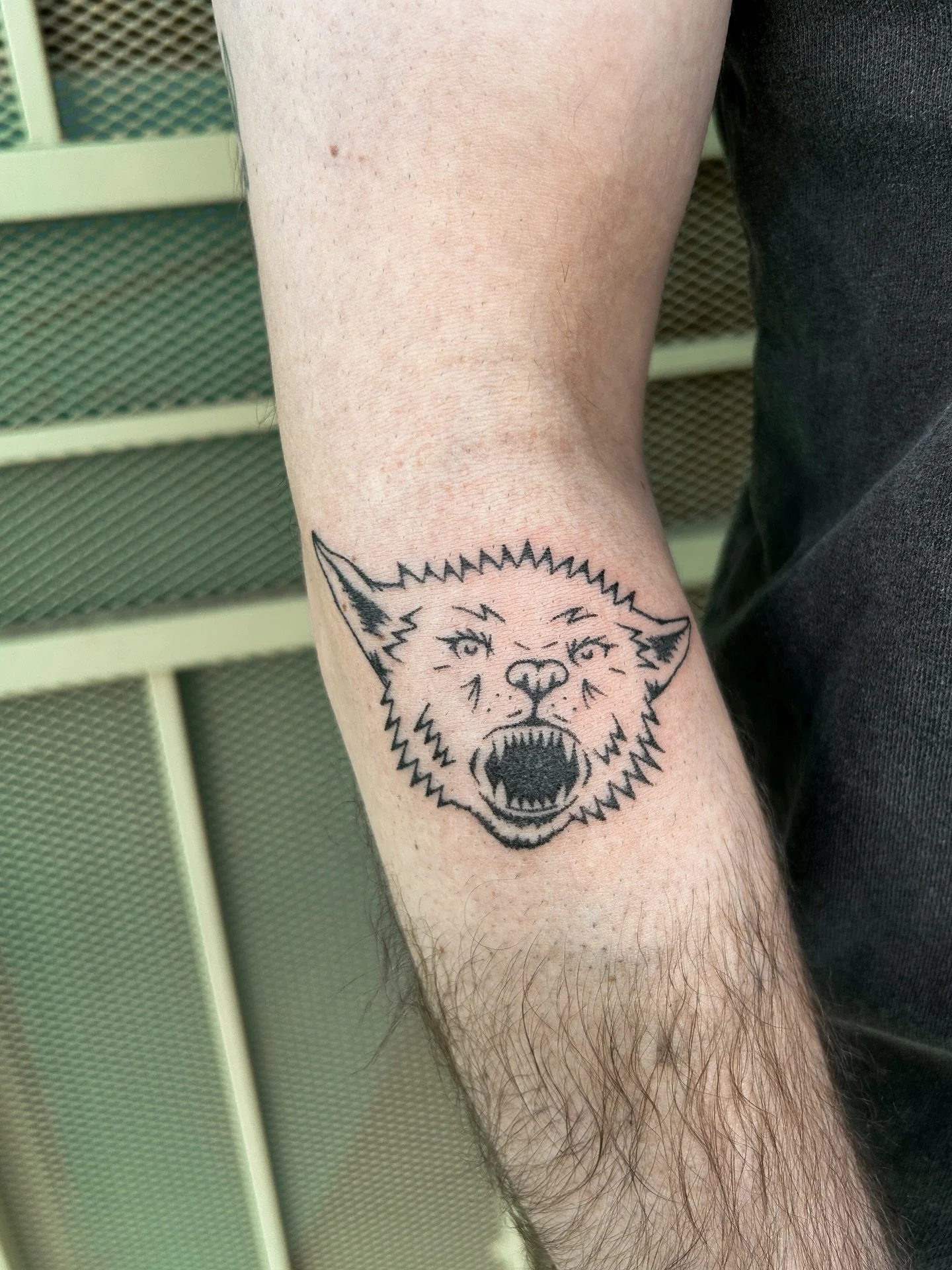 He don&rsquo;t bite he&rsquo;s nice