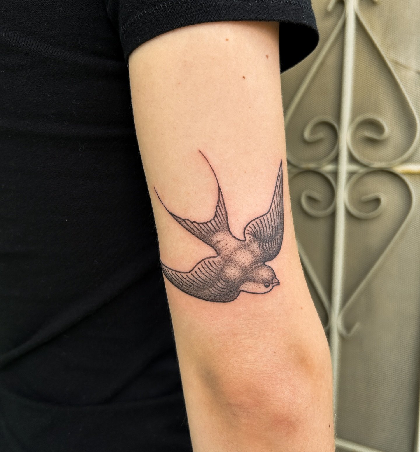 I still wish I was a bird. some things never change