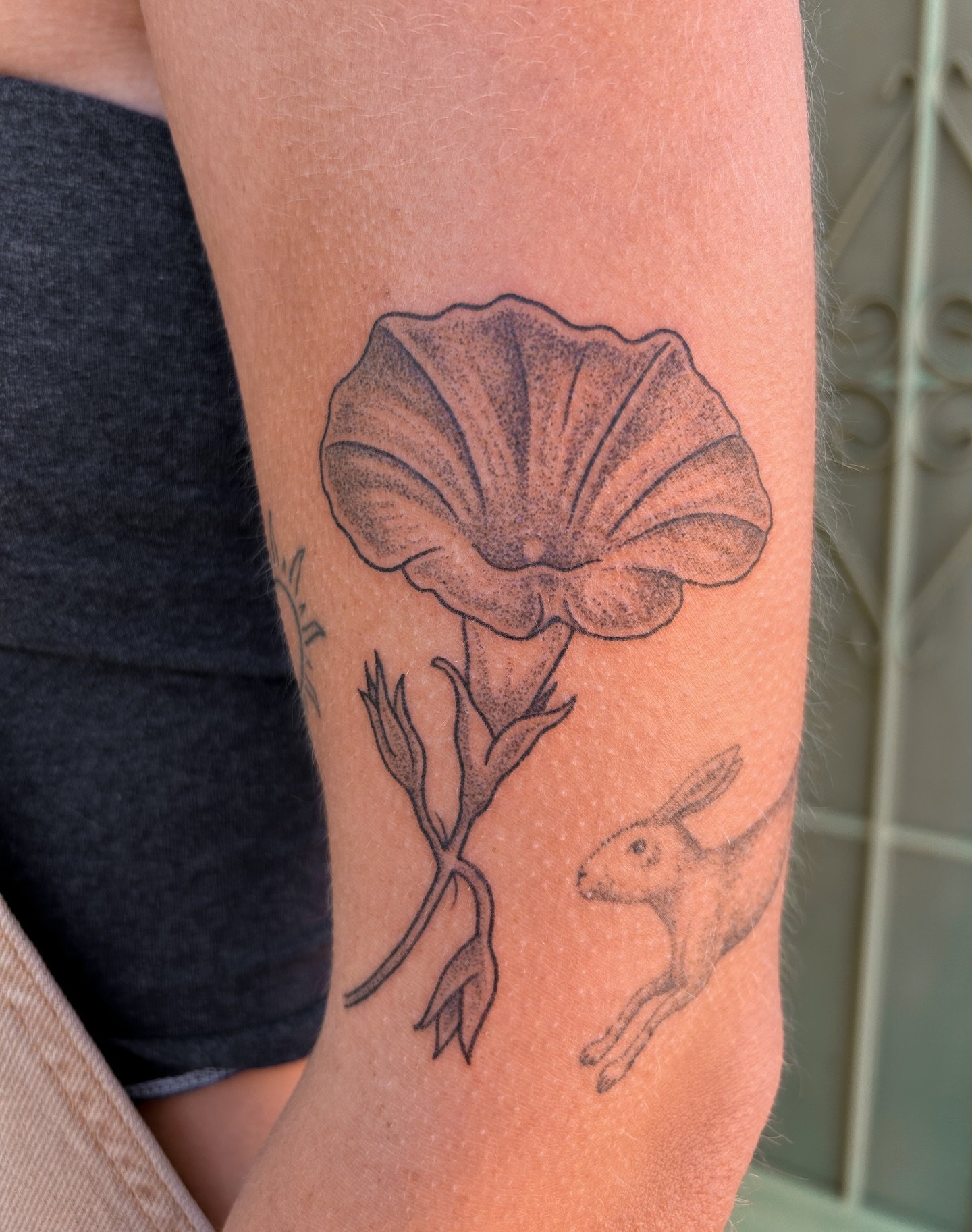 Good morning to the glory