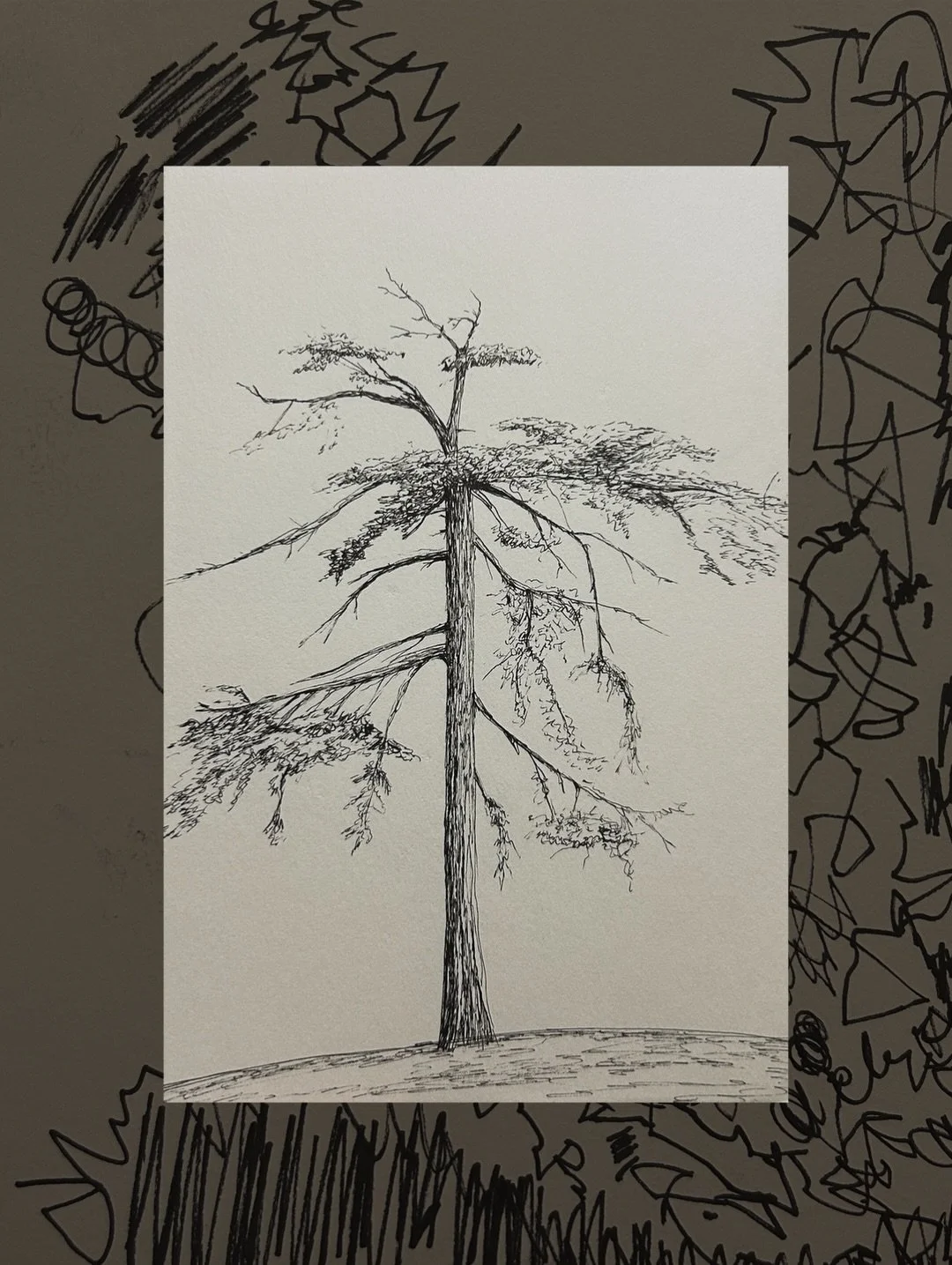 Wanted to do a lot more non-tattoo related drawing this year, ended up mostly just drawing trees and self portraits. One of my favorite things to draw and one of my least favorite, idk what that says about me. But here&rsquo;s my 10 favorites from ea