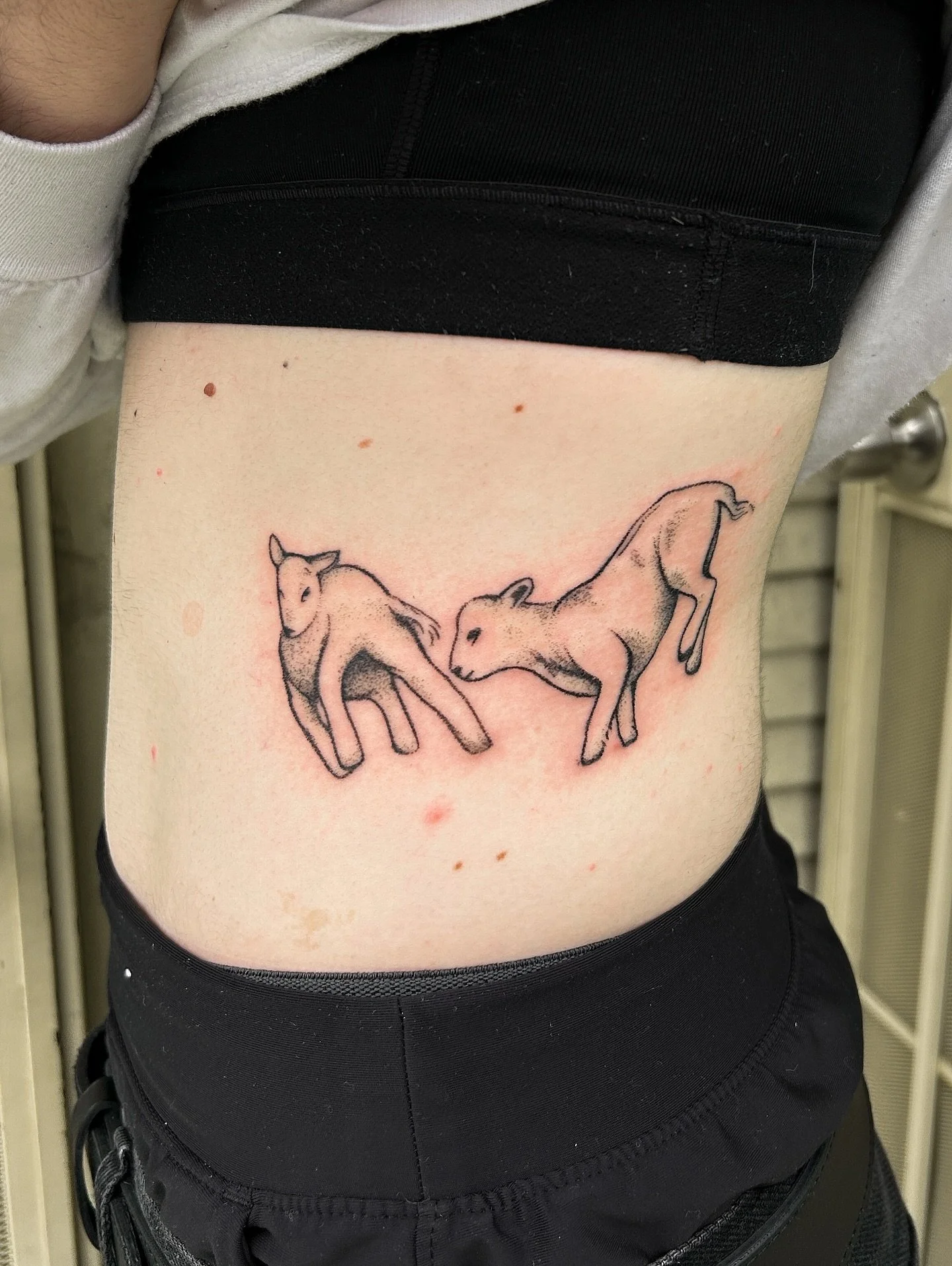 End of year dump. Booking for January and February (flash only) 🫶