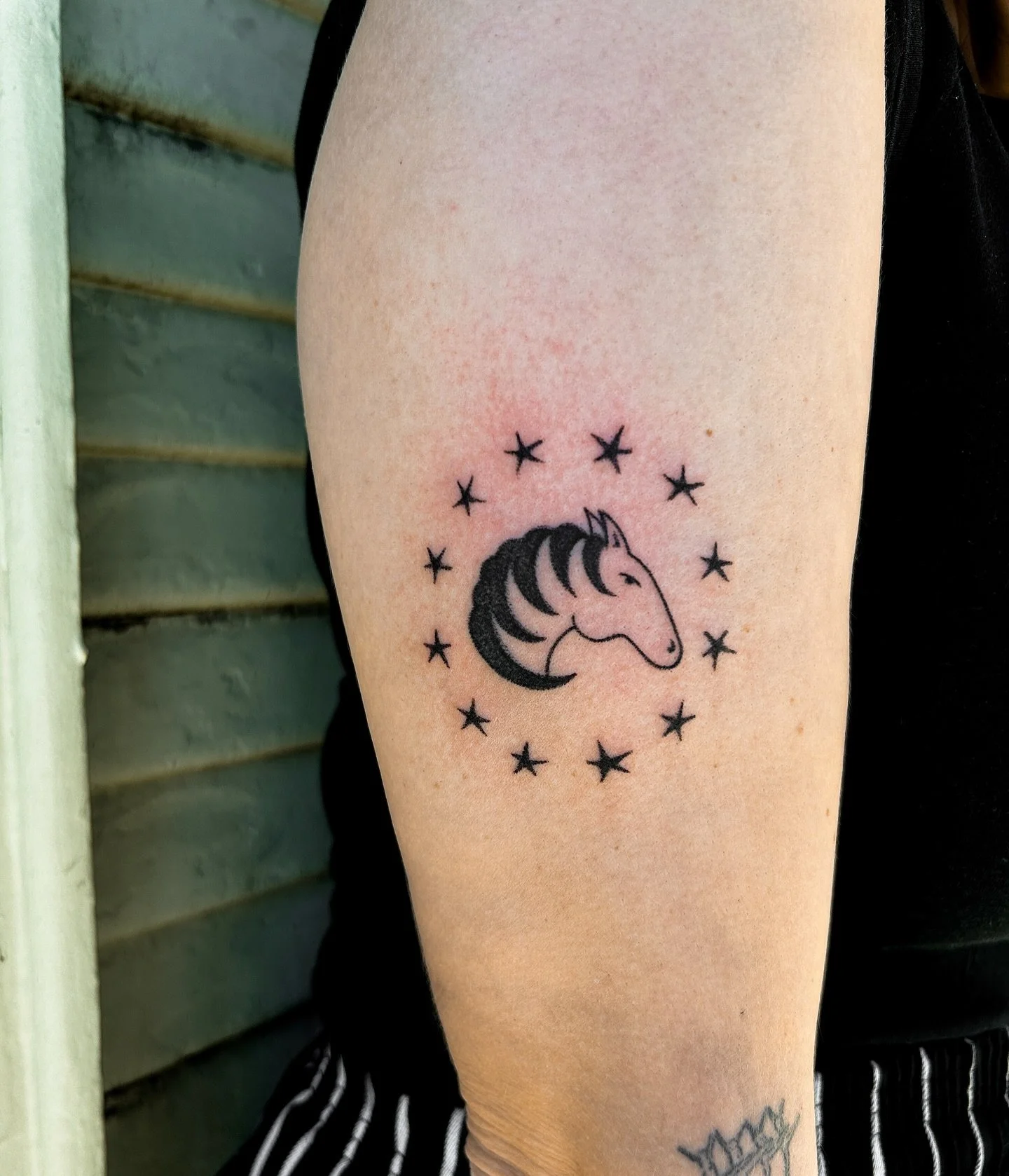 January special 🐴 who&rsquo;s next