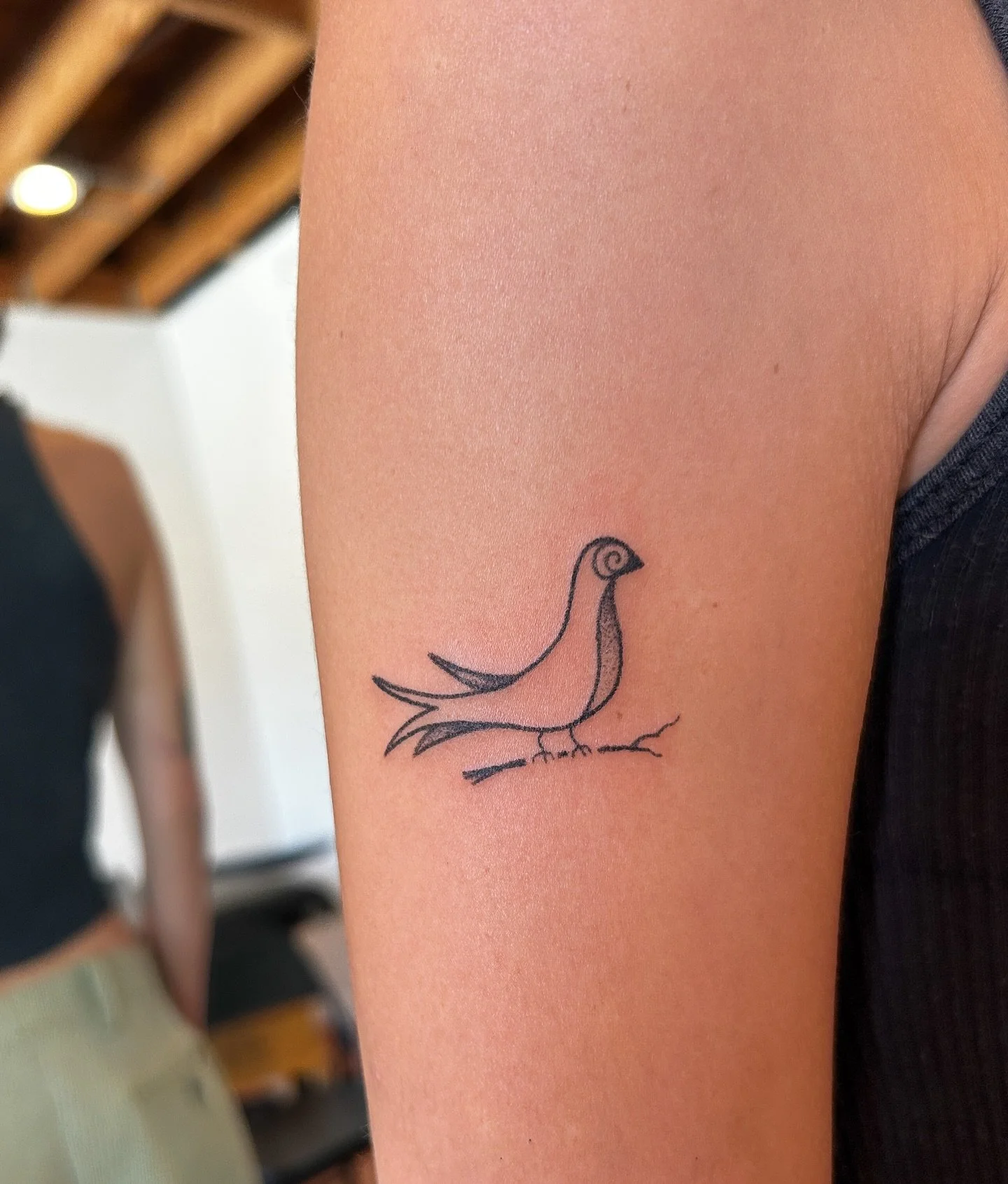 Yk what&rsquo;s crazy, some people think birds are government drones meanwhile they carry a gps/microphone/camera/computer that tracks their every thought and movement on them at all times. leave the birds out of this &amp; break your phone crazy guy