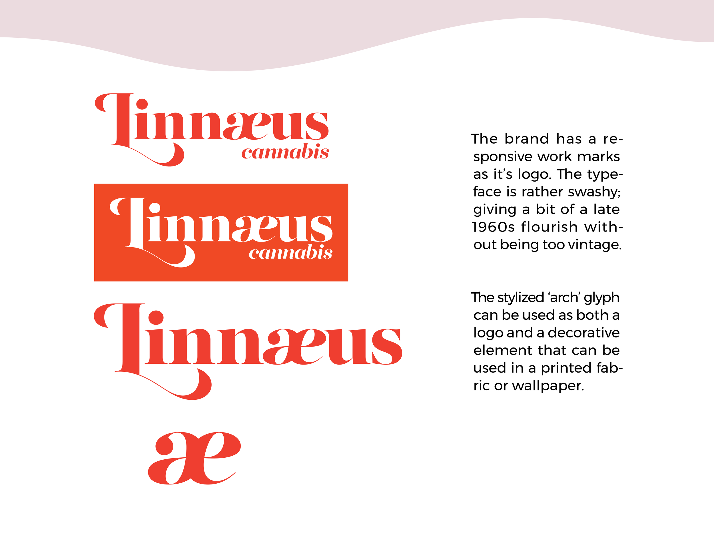 Linnaeus_branding_FINAL7.png