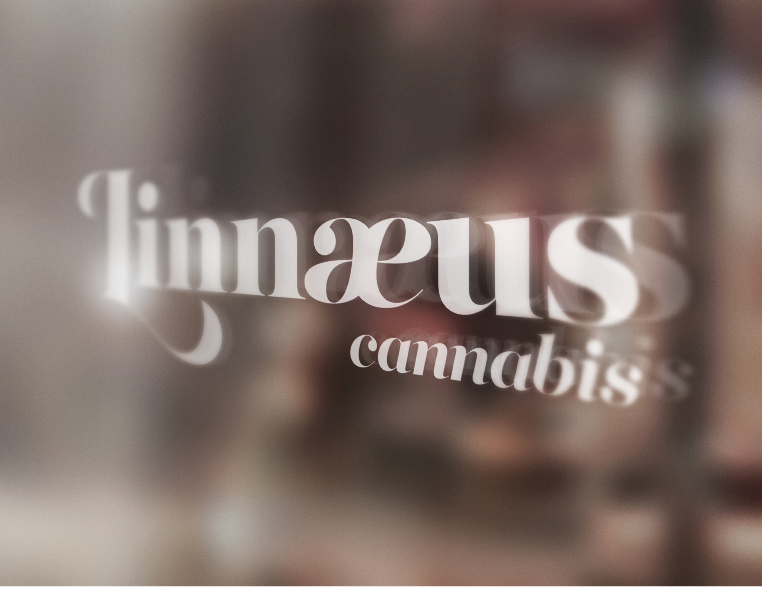 Linnaeus_branding_FINAL13.png