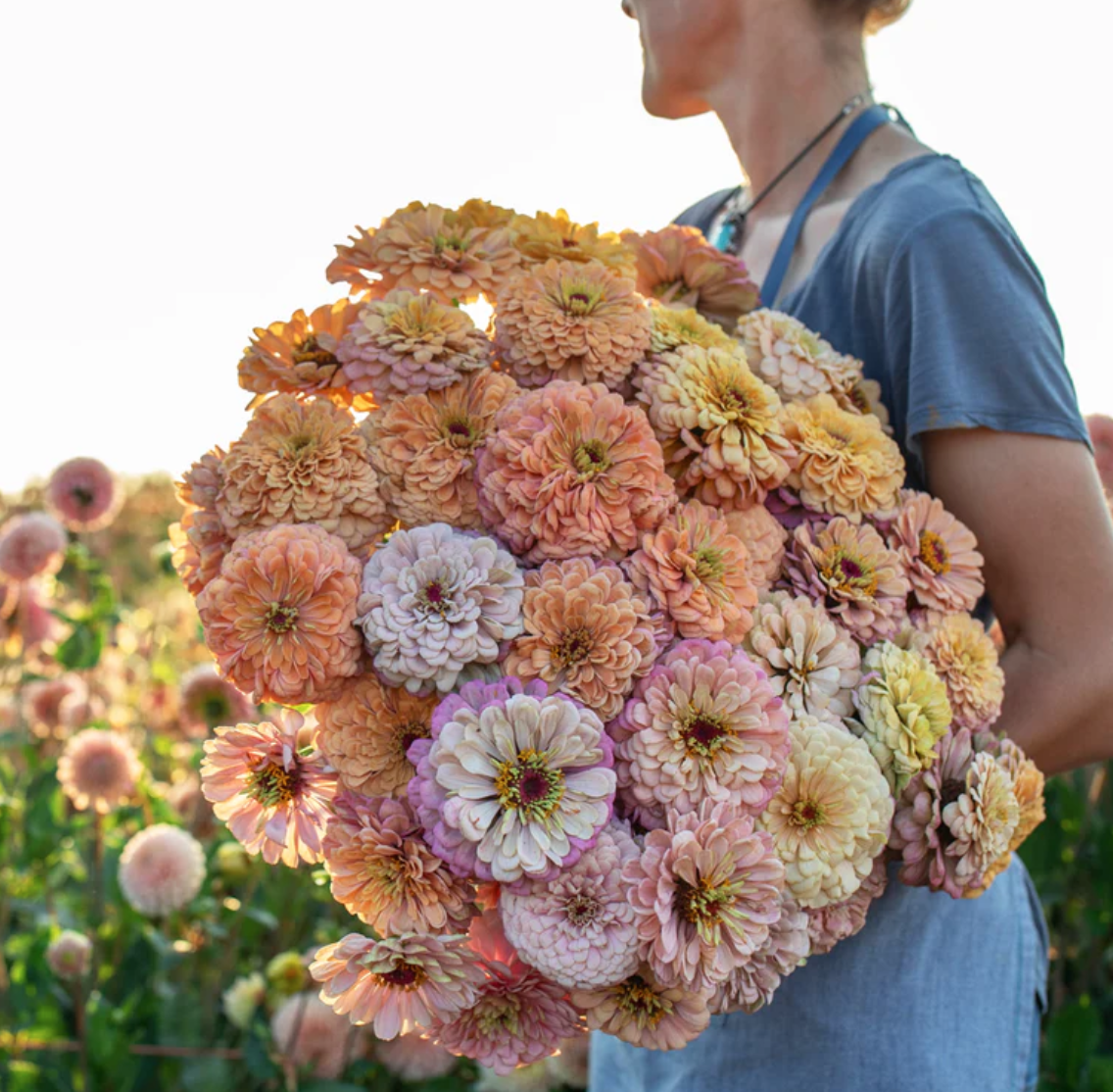 Zinnia - Precious Metals from Floret