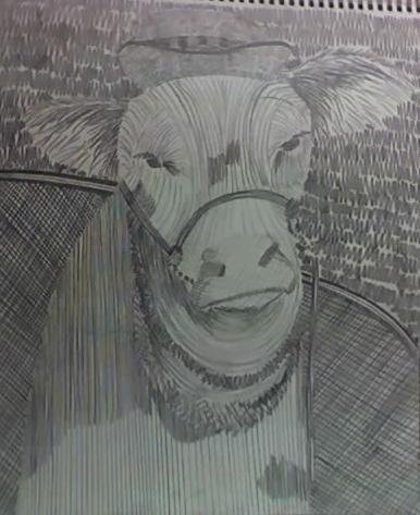 Graphite