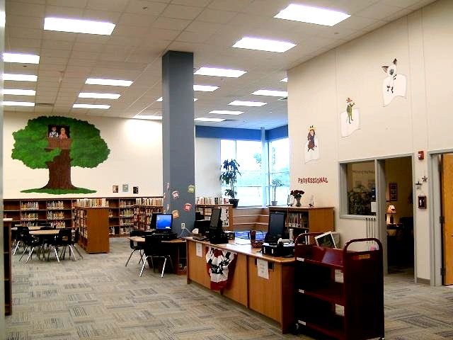 Client: Riojas Elementary School
Project: Library Mural