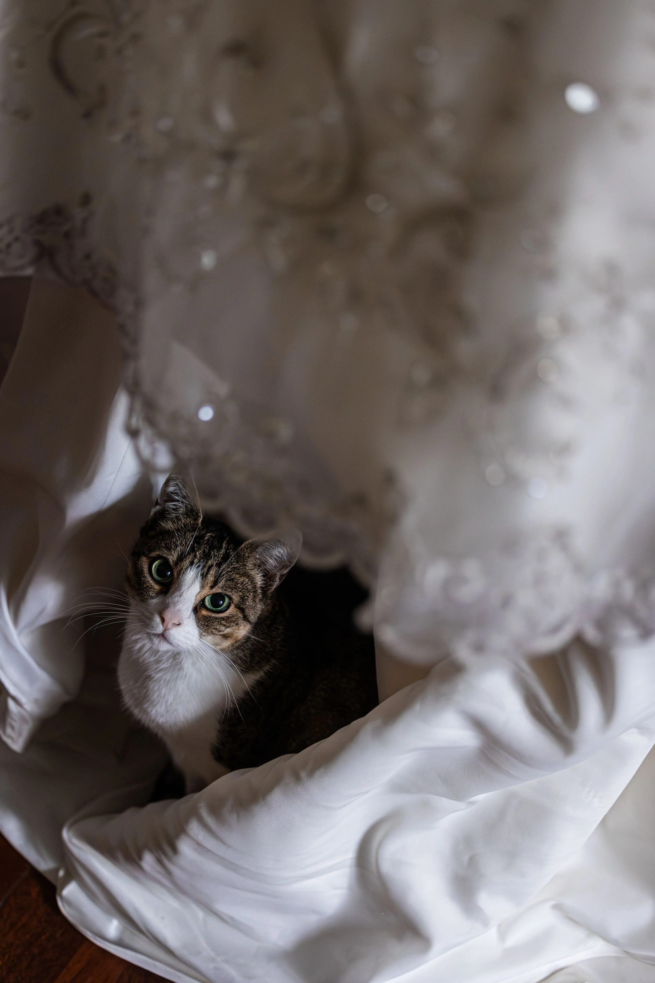 Bruiloft Dennis & Kim selectie-4.jpg