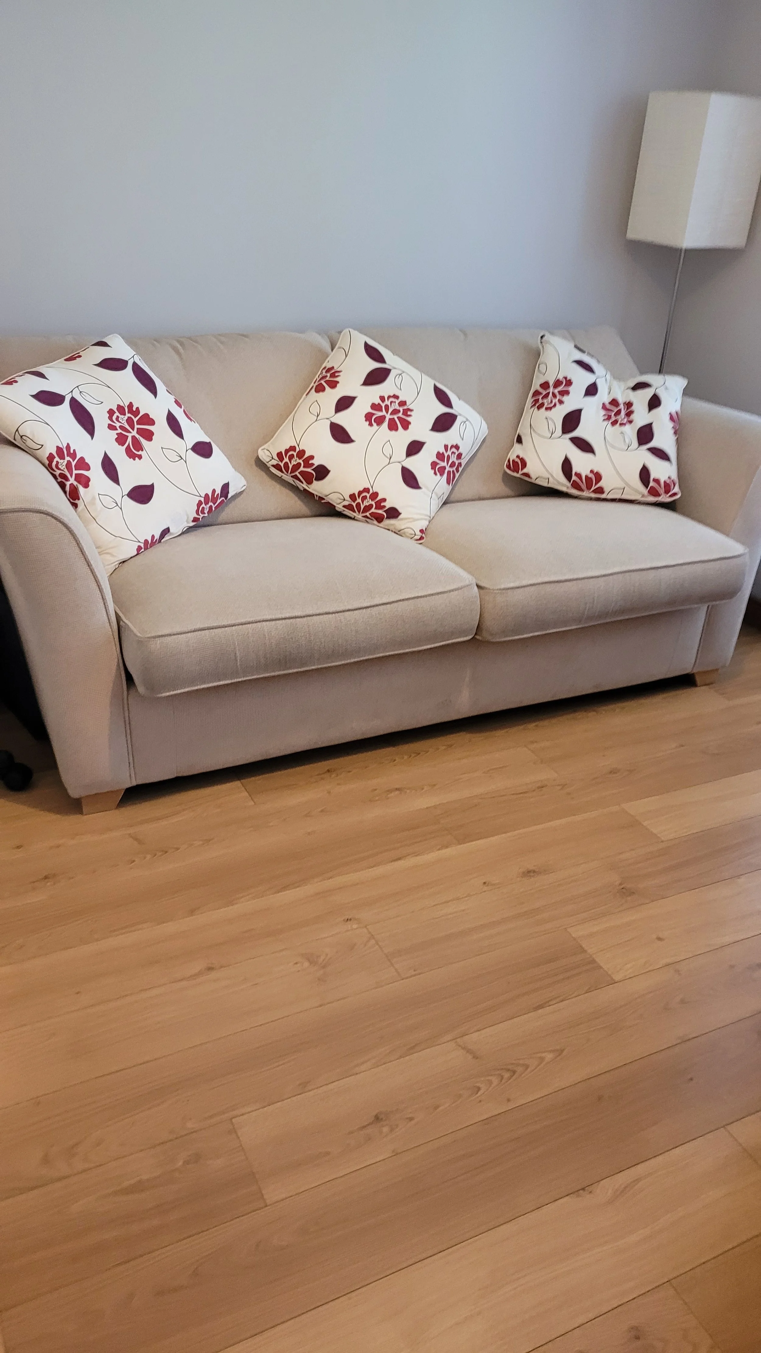 Light-colored sofa with three decorative pillows featuring a red and purple floral design, positioned against a white wall in a room with wooden flooring and a standing lamp to the right.