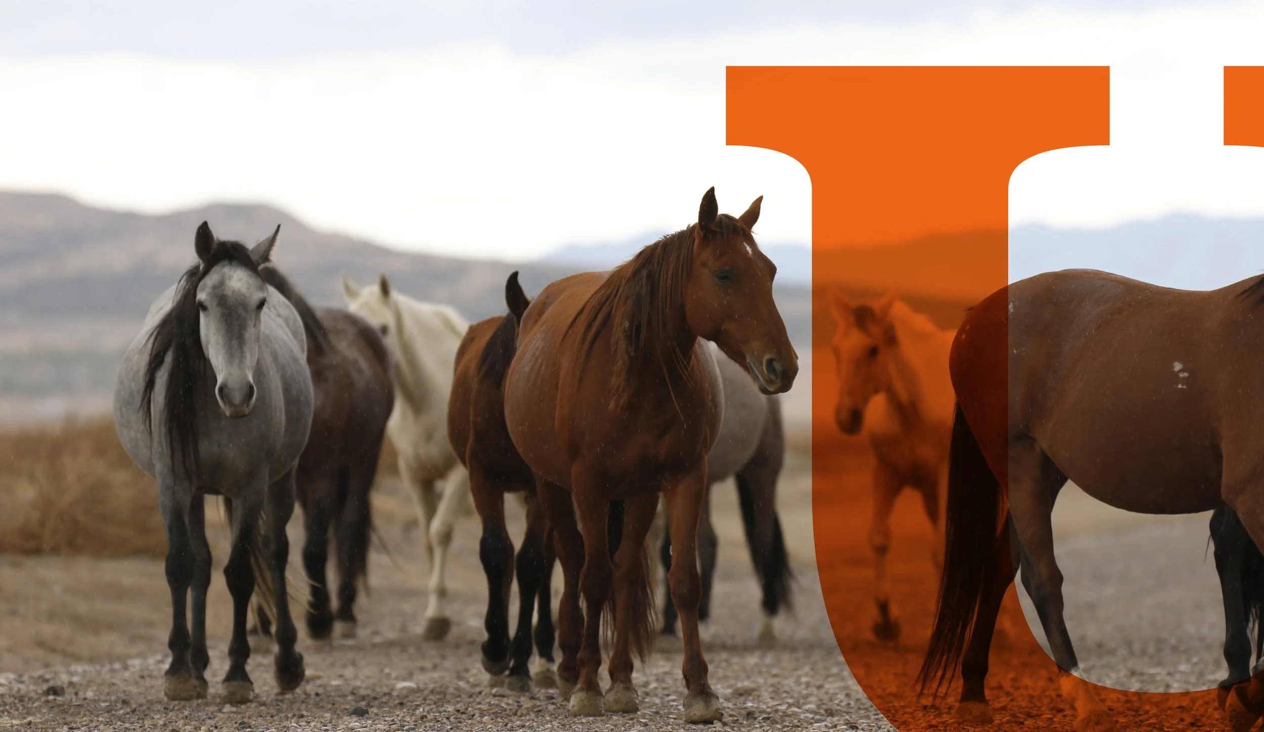 Utah Office of Tourism Visit Utah