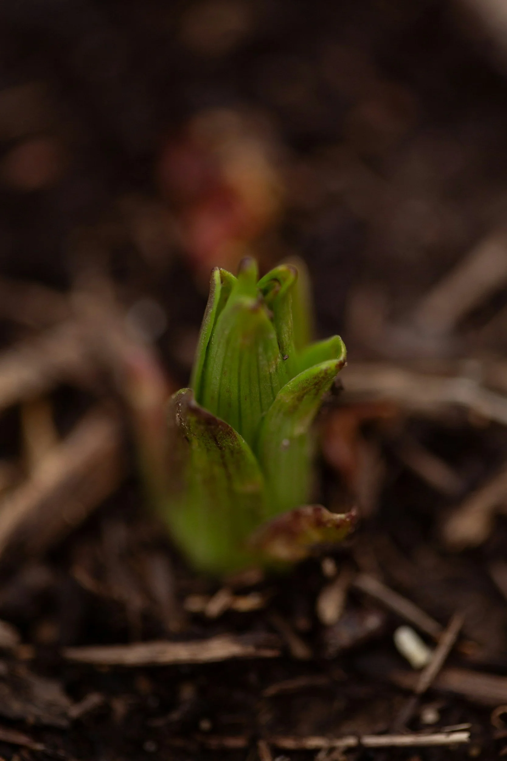 When the Soul Feels Silenced