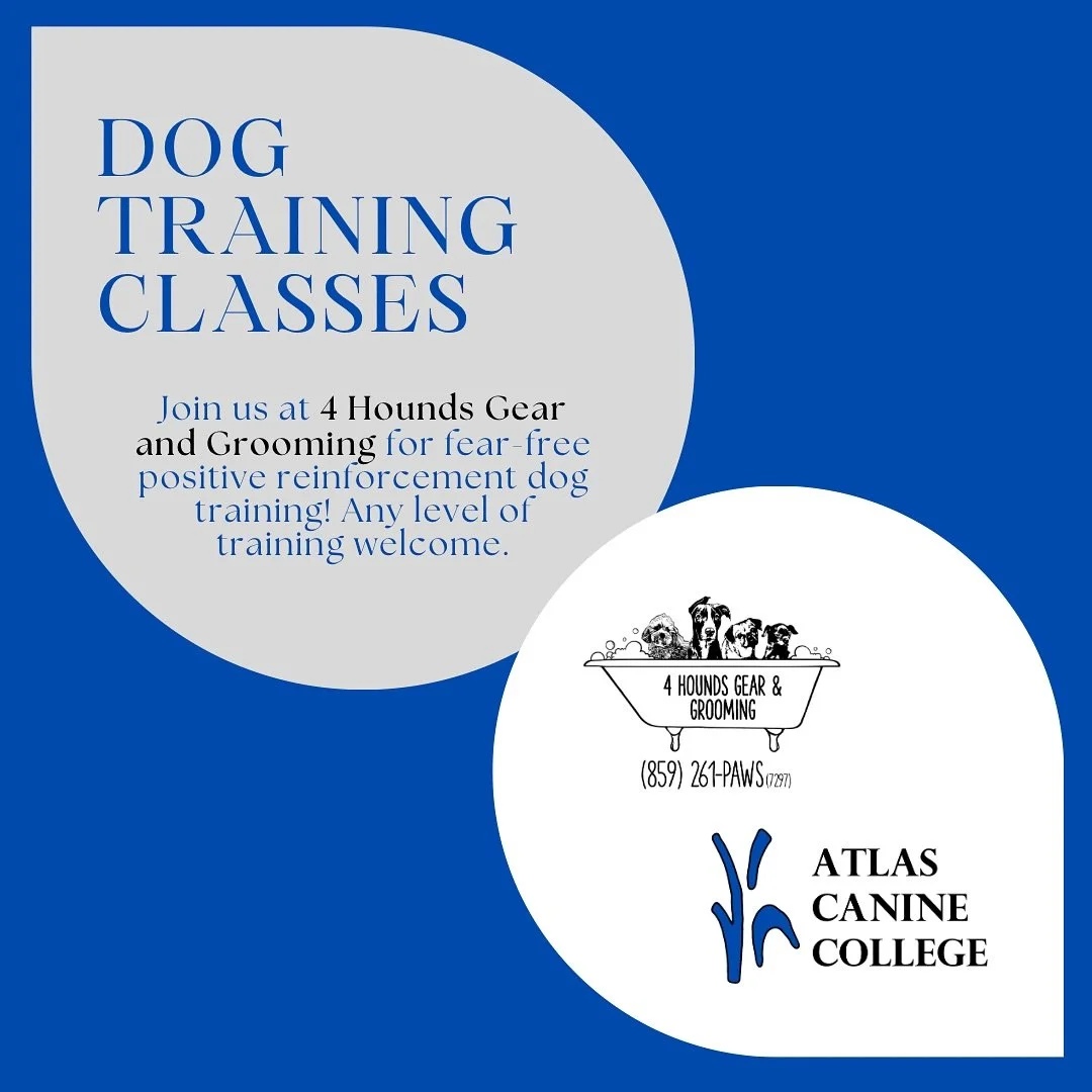 Join ACC for dog training classes hosted at 4 Hounds Gear and Grooming in Covington, KY! Space is limited so sign up today to reserve your pup&rsquo;s spot! 🦮🐾🦴
 
Visit the link in our bio to sign up!