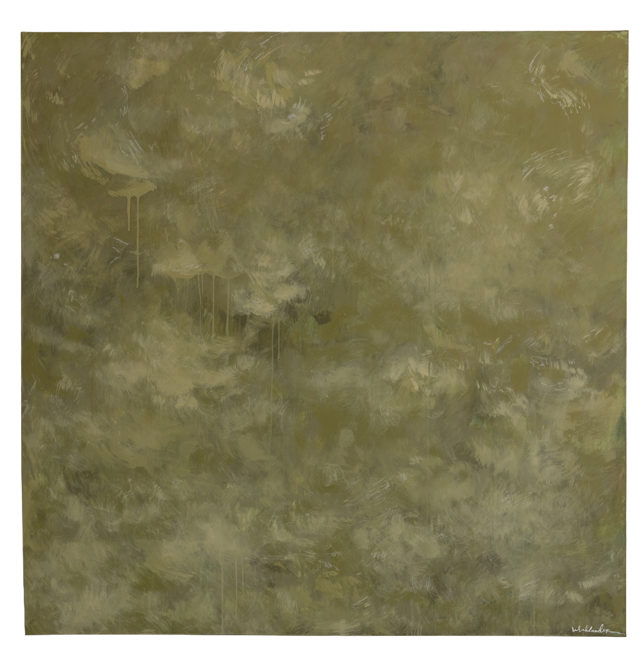 CANOPY.png