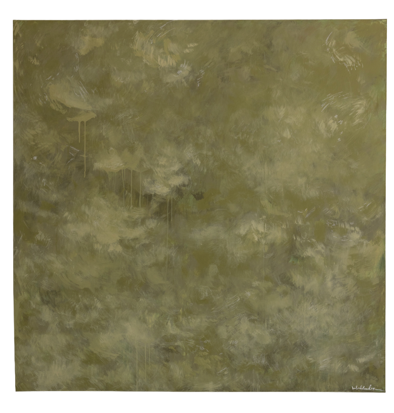 CANOPY